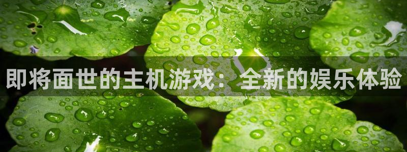 广州新宝GG运动服：即将面世的主机游戏：全新的娱乐体验