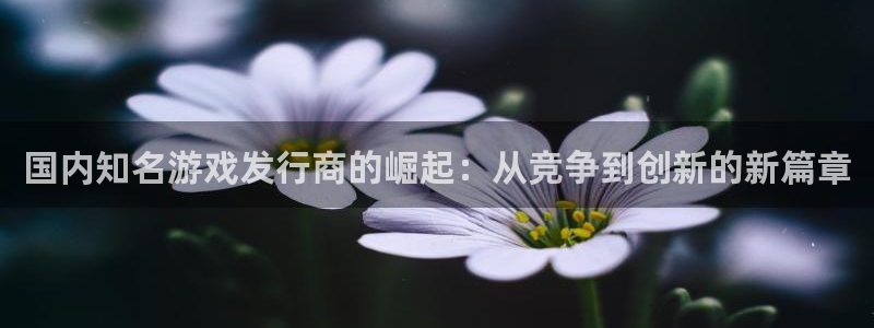 新宝GG品牌服装：国内知名游戏发行商的崛起：从竞争到创新的新篇章