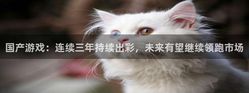 广东新宝GG电子商务有限公司：国产游戏：连续三年持续出彩，未来有望继续领跑市场