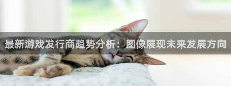 新宝GG啤酒多少钱一箱：最新游戏发行商趋势分析：图像展现未来发展方向