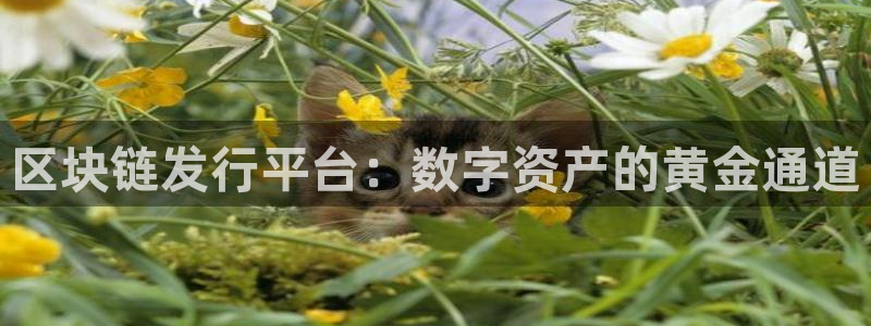 新宝GG官网游戏怎么注册：区块链发行平台：数字资产的黄金通道
