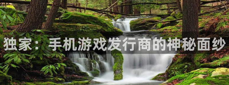 新宝GG品牌策划：独家：手机游戏发行商的神秘面纱