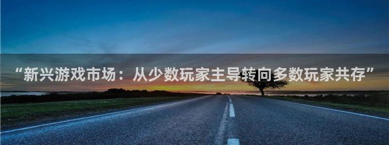 新宝GG官网注册方法是什么意思：“新兴游戏市场：从少数玩家主导转向多数玩家共存”
