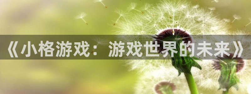 广东新宝GG：《小格游戏：游戏世界的未来》