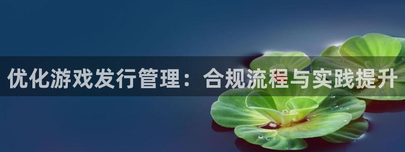 江苏新宝GG人力资源有限公司怎么样