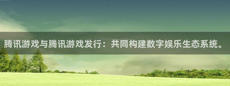 广州新宝GG网络科技有限公司怎么样：腾讯游戏与腾讯游戏发行：共同构建数字娱乐生态系统。