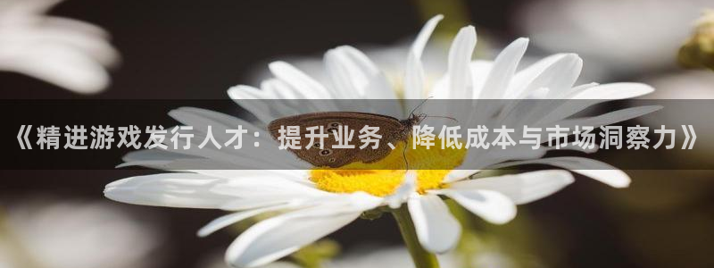新宝GG官网是赌博么：《精进游戏发行人才：提升业务、降低成本与市场洞察力》