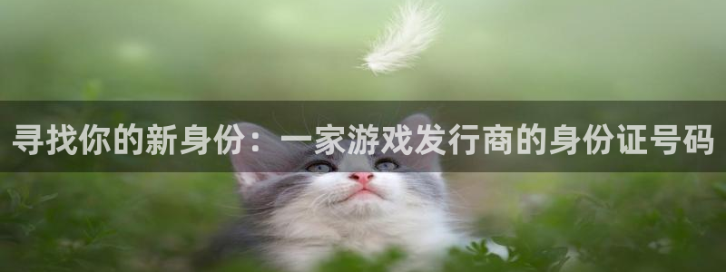新宝GG官网平台代理条件如何：寻找你的新身份：一家游戏发行商的身份证号码