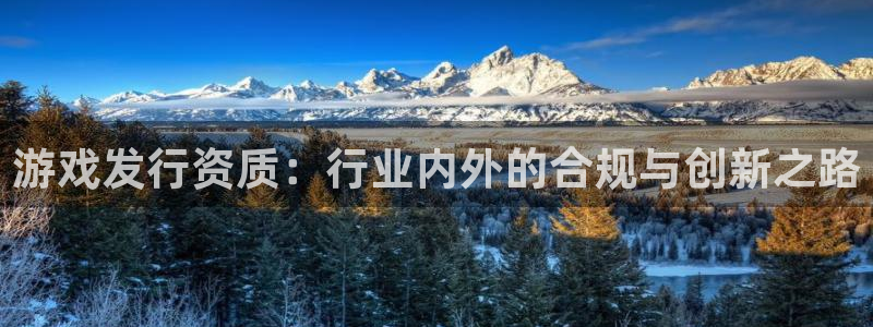 新宝GG科技有限公司：游戏发行资质：行业内外的合规与创新之路