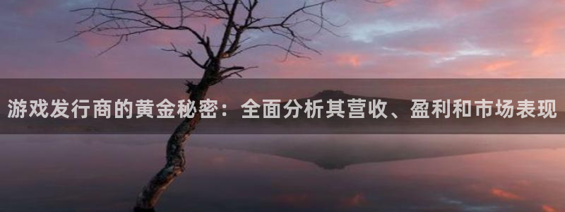 新宝GG官网注册平台登录：游戏发行商的黄金秘密：全面分析其营收、盈利和市场表现