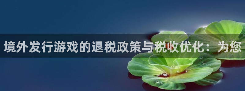 长沙新宝GG子电子商务有限公司：境外发行游戏的退税政策与税收优化：为您