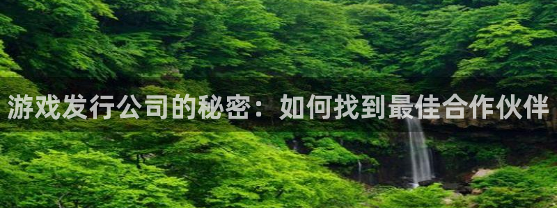 新宝GG电子商务有限公司怎么样知乎：游戏发行公司的秘密：如何找到最佳合作伙伴