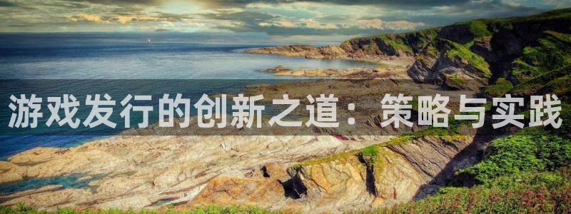 lvnces新宝GG衣服：游戏发行的创新之道：策略与实践