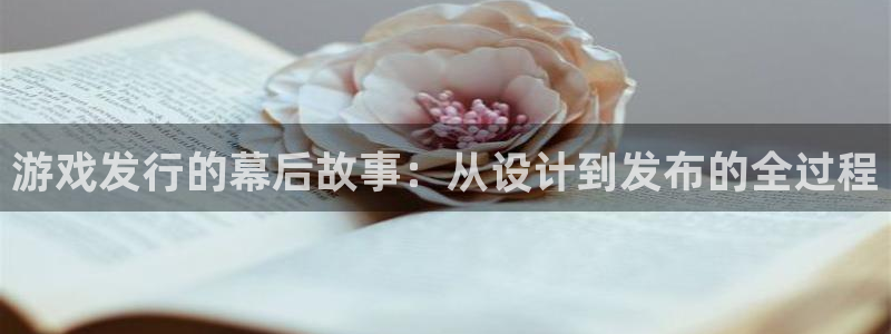 新宝GG服装：游戏发行的幕后故事：从设计到发布的全过程