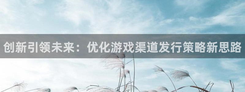 陕西新宝GG子文化创意骗局：创新引领未来：优化游戏渠道发行策略新思路