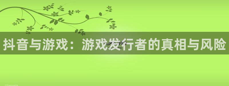 新宝GG子公司怎么样