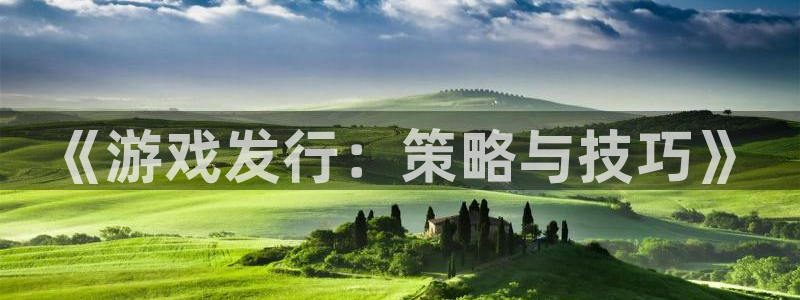 新宝GG啤酒多少钱一箱