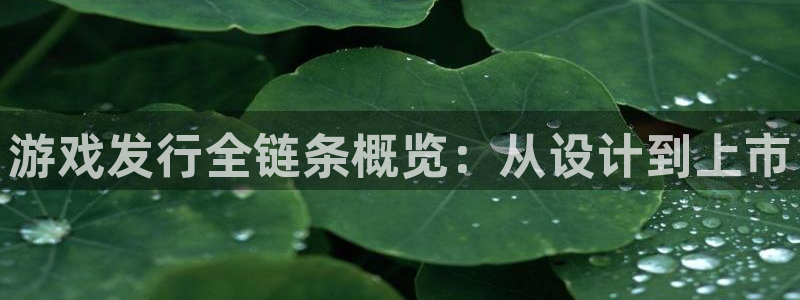 新宝GG官网注册平台