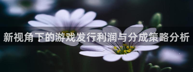 新宝GG官网平台会黑款吗：新视角下的游戏发行利润与分成策略分析